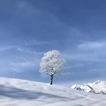Apartament Valmorel Le Mottet - Residence Prariond - Esf & Skis Aux Pieds Valmorel